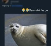 1653292954620.jpg