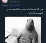 1653292967573.jpg