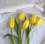 IMG_20230313_201821_974.jpg