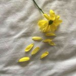 IMG_20230313_201811_371.jpg