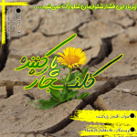 Negar_۲۰۲۳۰۳۱۹_۰۹۵۴۳۵.png