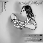 Negar_۲۰۲۳۰۳۲۹_۱۷۱۸۳۰.png