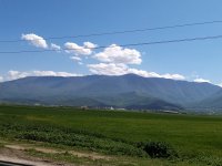 IMG_20230329_122513.jpg