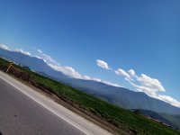IMG_20230329_122330.jpg