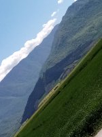 IMG_20230329_122345.jpg