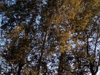 IMG_20230329_170634.jpg