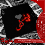 Negar_۲۰۲۱۰۸۰۸_۱۸۵۵۳۴.png