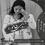 Negar_۲۰۲۱۰۸۱۶_۱۷۲۷۲۶.png