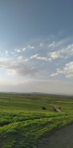 IMG_20230408_184132_433.jpg