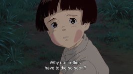 tumblr_ojhmhxKYc31v4a8wfo1_r1_1280-1.jpg