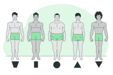 body-type-funglishapp-768x512.jpg