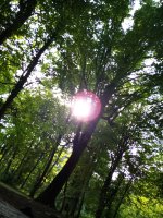 IMG_20230424_160935.jpg