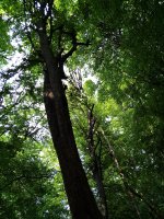 IMG_20230424_152449.jpg