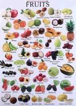 fruits in english.jpg