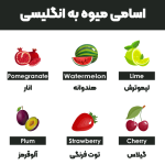 Fruit-names-in-English2-1080-768x768.png
