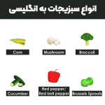 A-variety-of-vegetables-in-English1-500.png