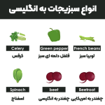 A-variety-of-vegetables-in-English5-1080.png