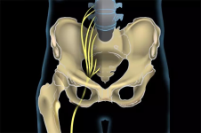 1684450270046.png 1684450270046.png