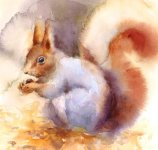 watercolor13.jpg