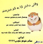 Photo-by-hilarious-4.jpg