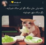 Screenshot_۲۰۲۱۰۸۲۵-۰۳۴۹۱۷_Rubika.jpg