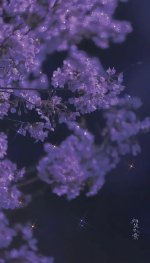 Screenshot_۲۰۲۳۰۶۰۲-۱۷۳۷۵۷_Gallery.jpg