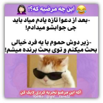1685868852579.png