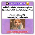 1685868892644.png