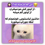 1685868998859.png
