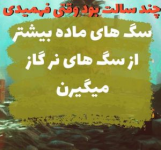 1685869116461.png