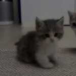 1685890630.379h.jpeg