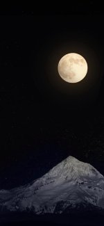 _ تصویر زمینه ماه زرد.jpg