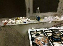 IMG_20230609_213248_783.jpg