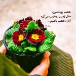ax-neveshteh-6.jpg