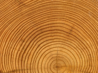 iPhone 3 Wallpaper 13.png