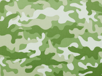 iPhone 3 Wallpaper 18.png