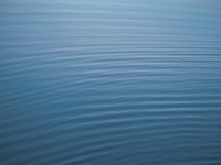 iPhone 5 Wallpaper 1.png