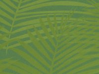 iPhone 5 Wallpaper 9.jpeg