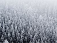 iPhone 6 Wallpaper 3.png