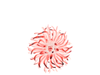 iPhone 6 Wallpaper 11.png