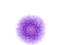 iPhone 6 Wallpaper 12.png