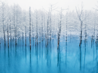 iPhone 6 Wallpaper 29.png