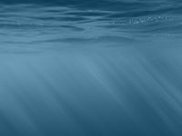 iPhone 6 Wallpaper 37.jpg