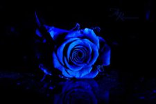 image-webtech360-com-5845006.jpg