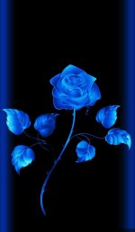 poster_fb934aae-7b16-4953-887a-8d30dd8fb3e7.jpeg