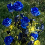 274621_306.jpg