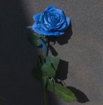 10-9.jpg