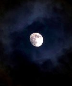 IMG_20230629_211837_985.jpg