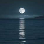 عکس-پروفایل-ماه-2.jpg