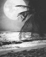 عکس-پروفایل-ماه-31.jpg
